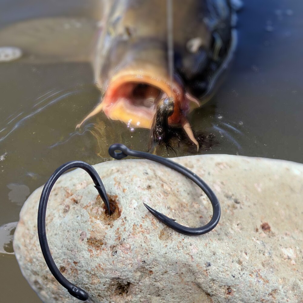 Hirisi Karpervissen Haken 50 s - Fishing Hook Assortment recensie en prijs